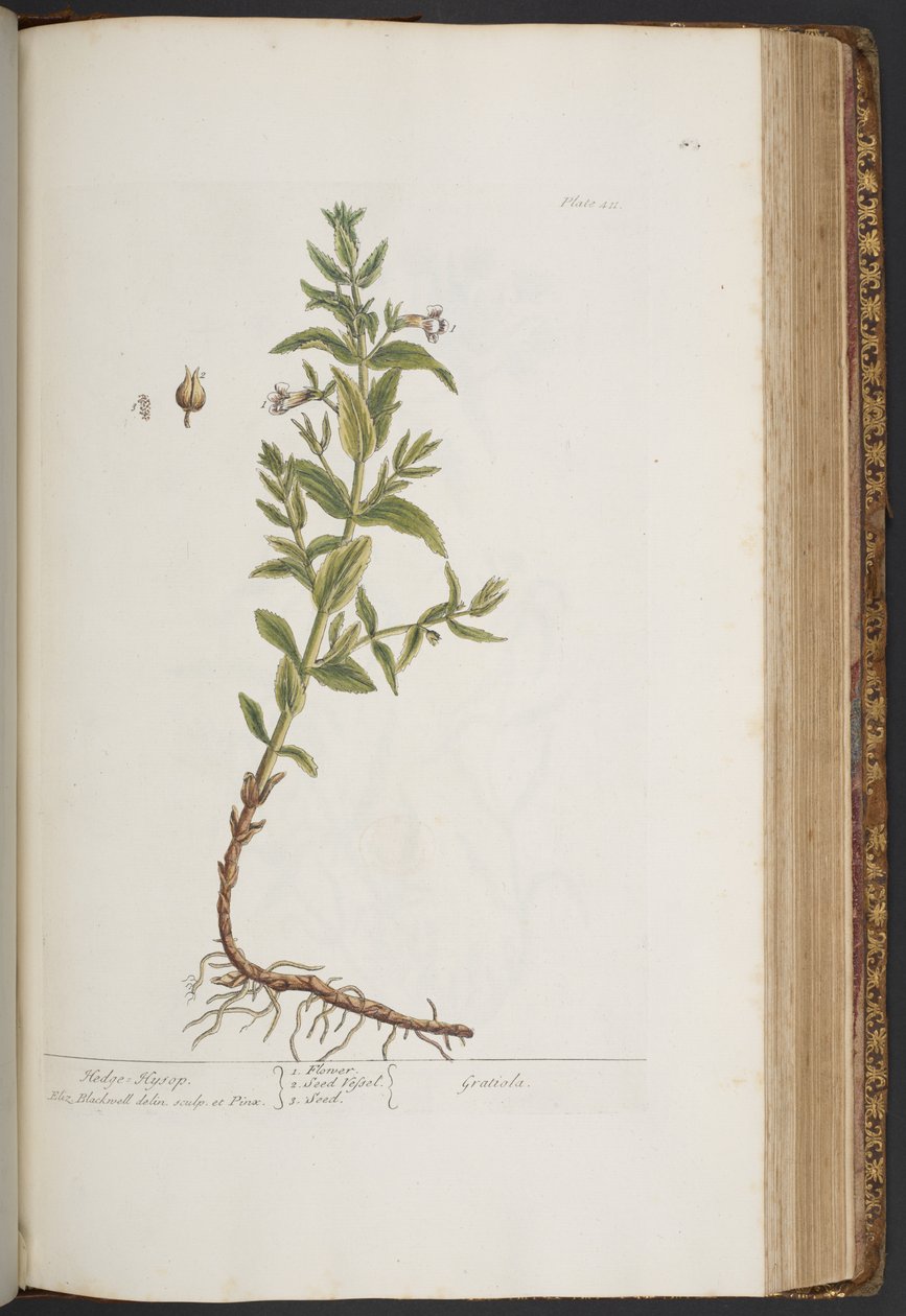 Tavola 411, da 