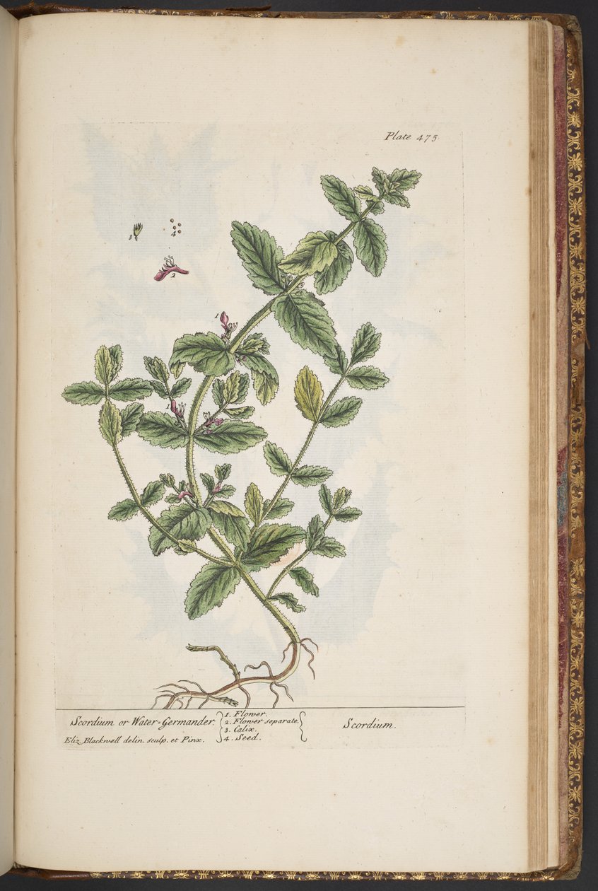 Tavola 475, da 