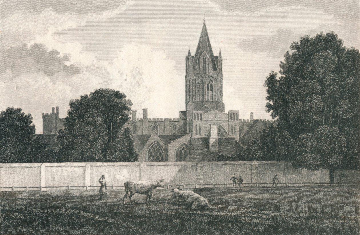 Cattedrale di Christ Church, Oxford da Elizabeth Byrne