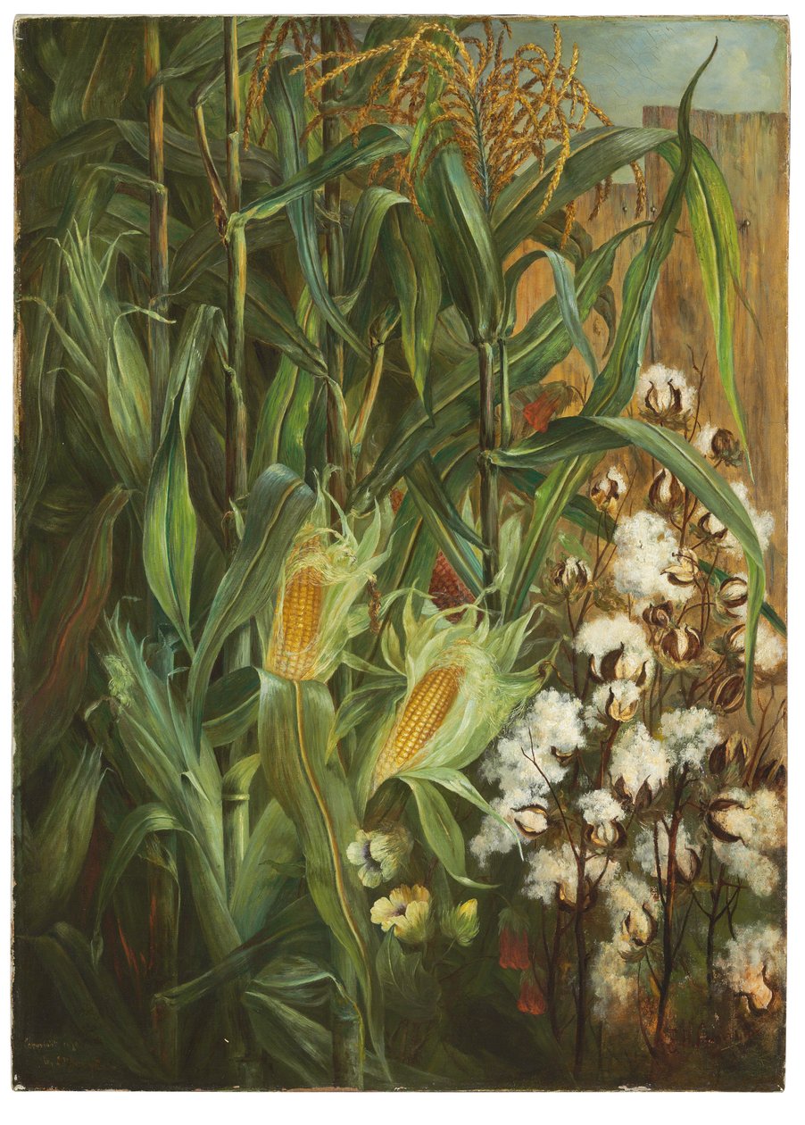 I due re: grano e cotone da Elizabeth H. Remington