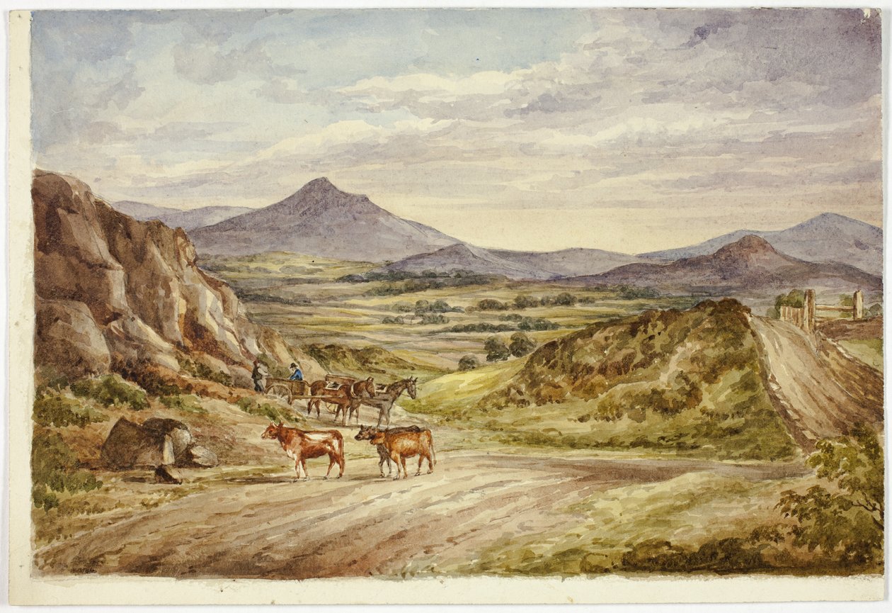 Colline di Wicklow da Elizabeth Murray