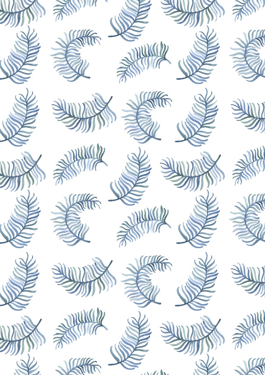 Stampa di felci, 2016 (acquerello) da Elizabeth Rider