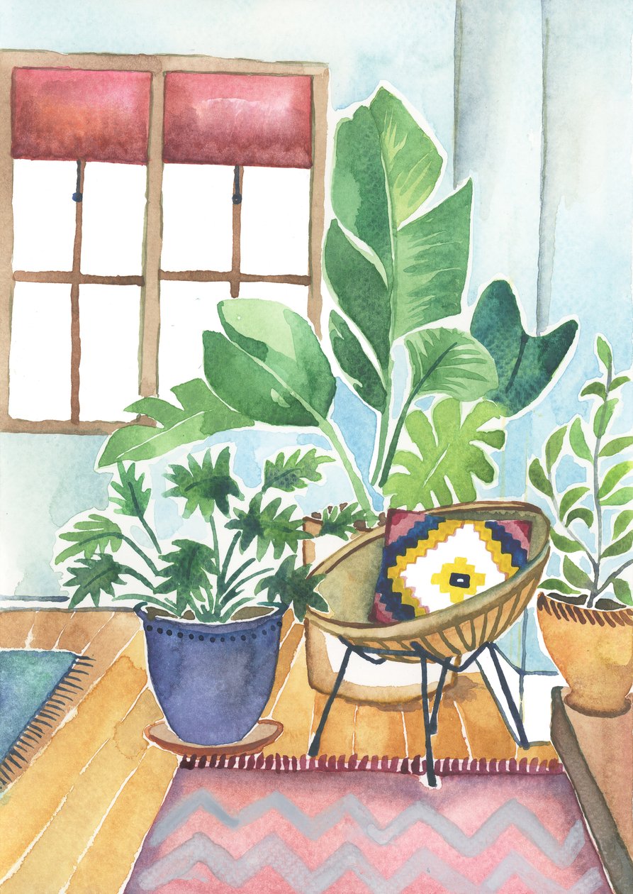 Piante da appartamento, 2018 (acquerello) da Elizabeth Rider