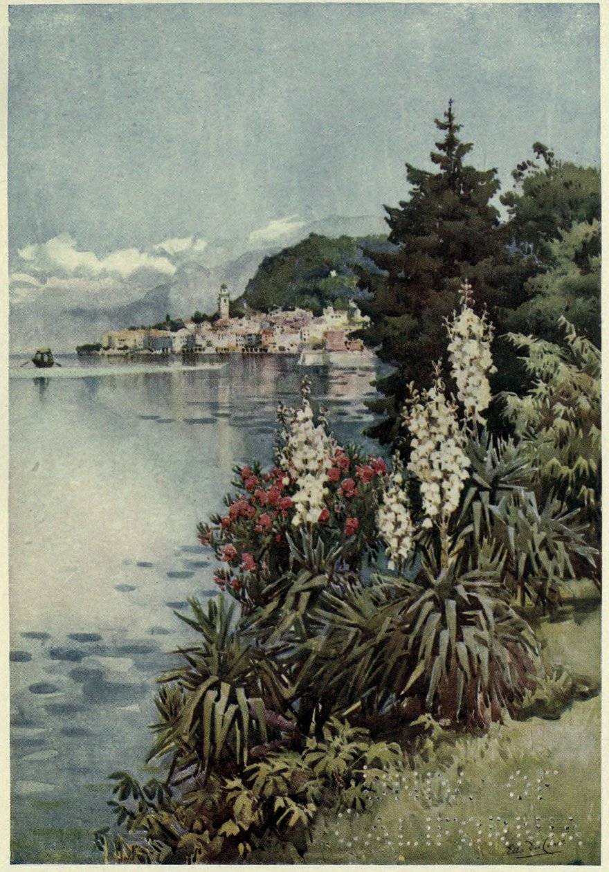 Un gruppo di Yuccas, Villa Melzi, Lago di Como, Illustrazione da 