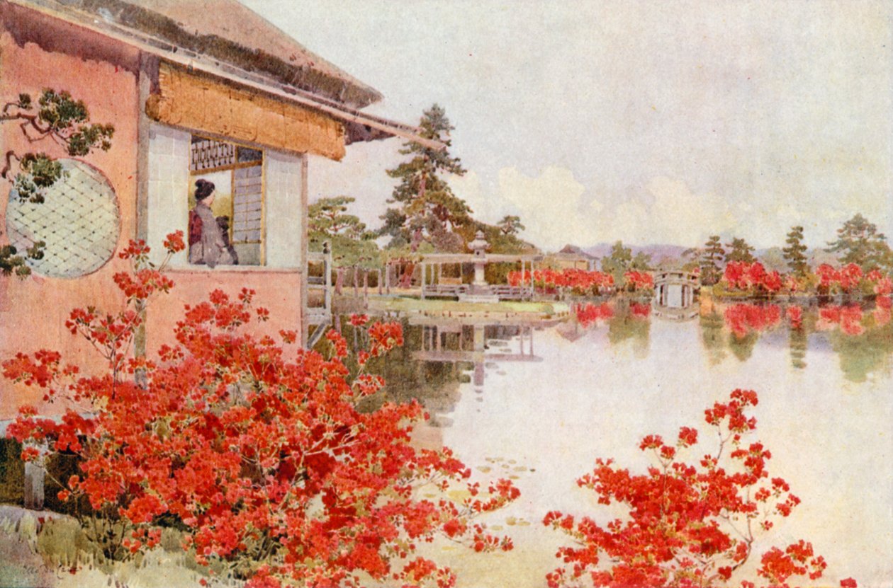 Azalee, Nagaoka (litografia a colori) da Ella Du Cane
