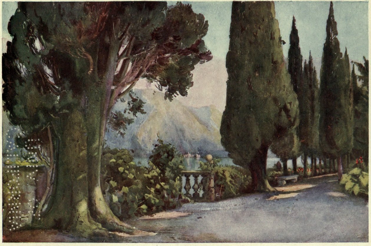 Viale dei cipressi, Villa del Pizzo, Lago di Como, illustrazione da 