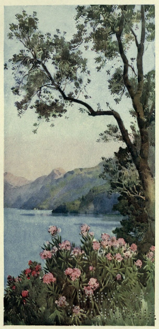 Lago di Como, Illustrazione da 
