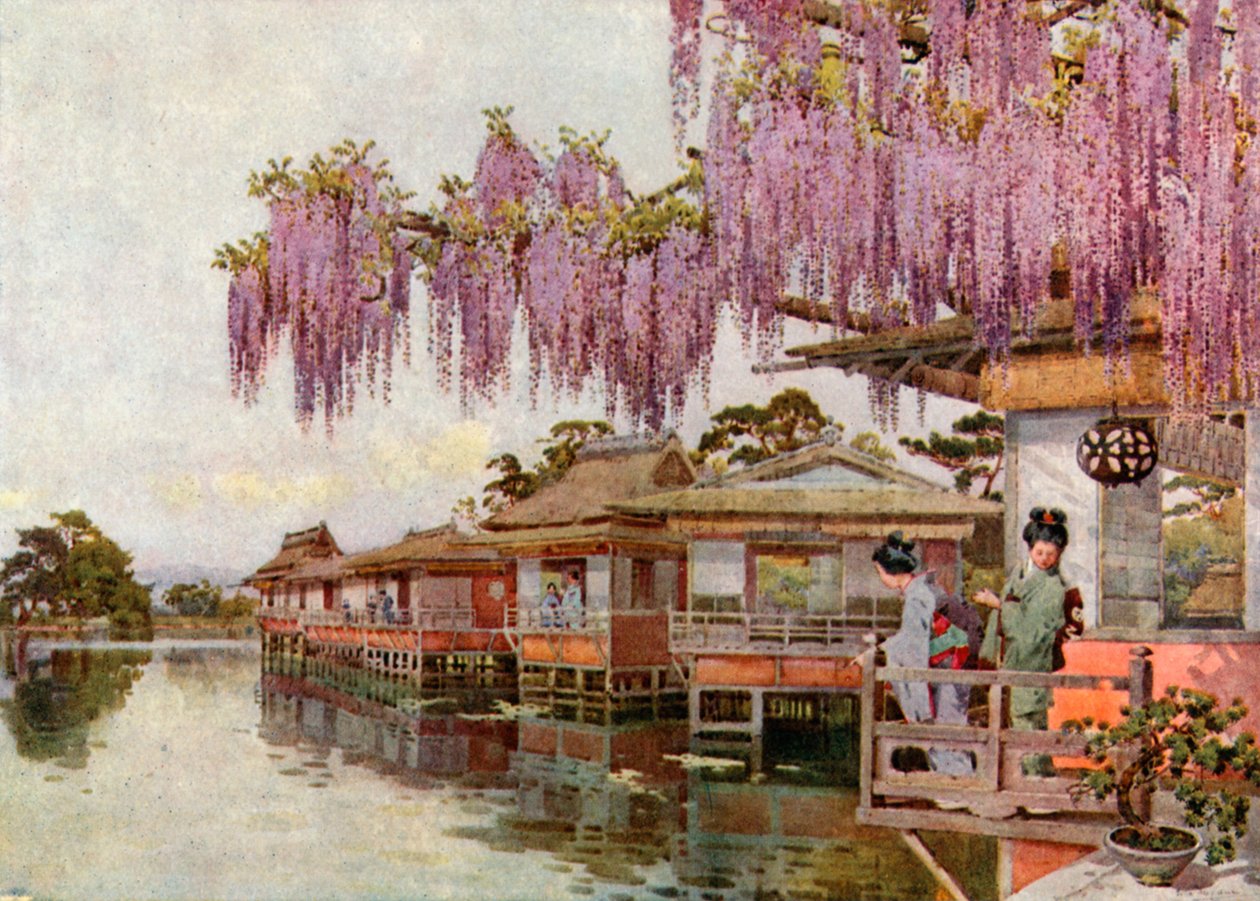 Wistaria, Nagaoka (litografia a colori) da Ella Du Cane