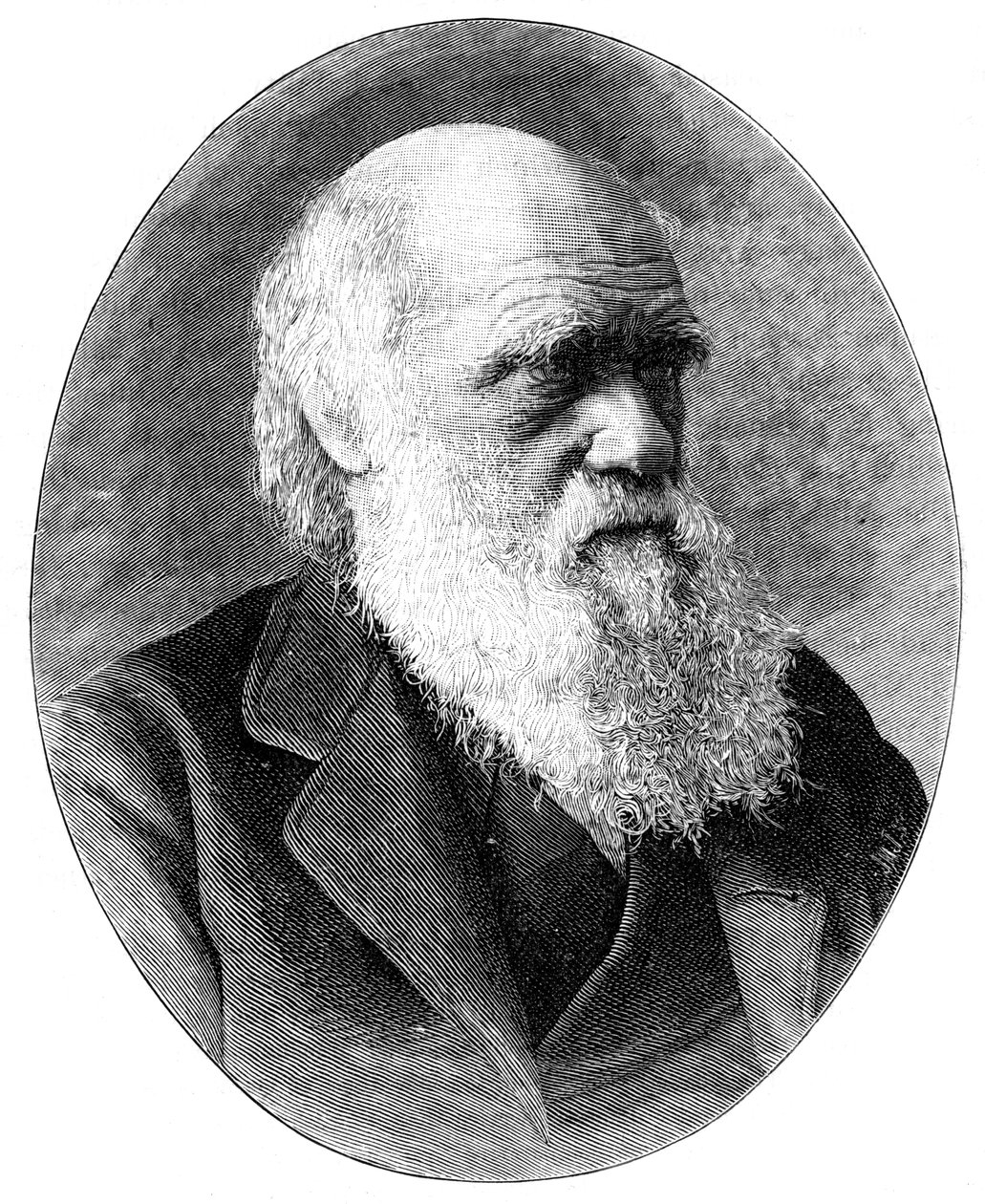 Charles Darwin, naturalista inglese del XIX secolo, 1900 da Elliott and Fry