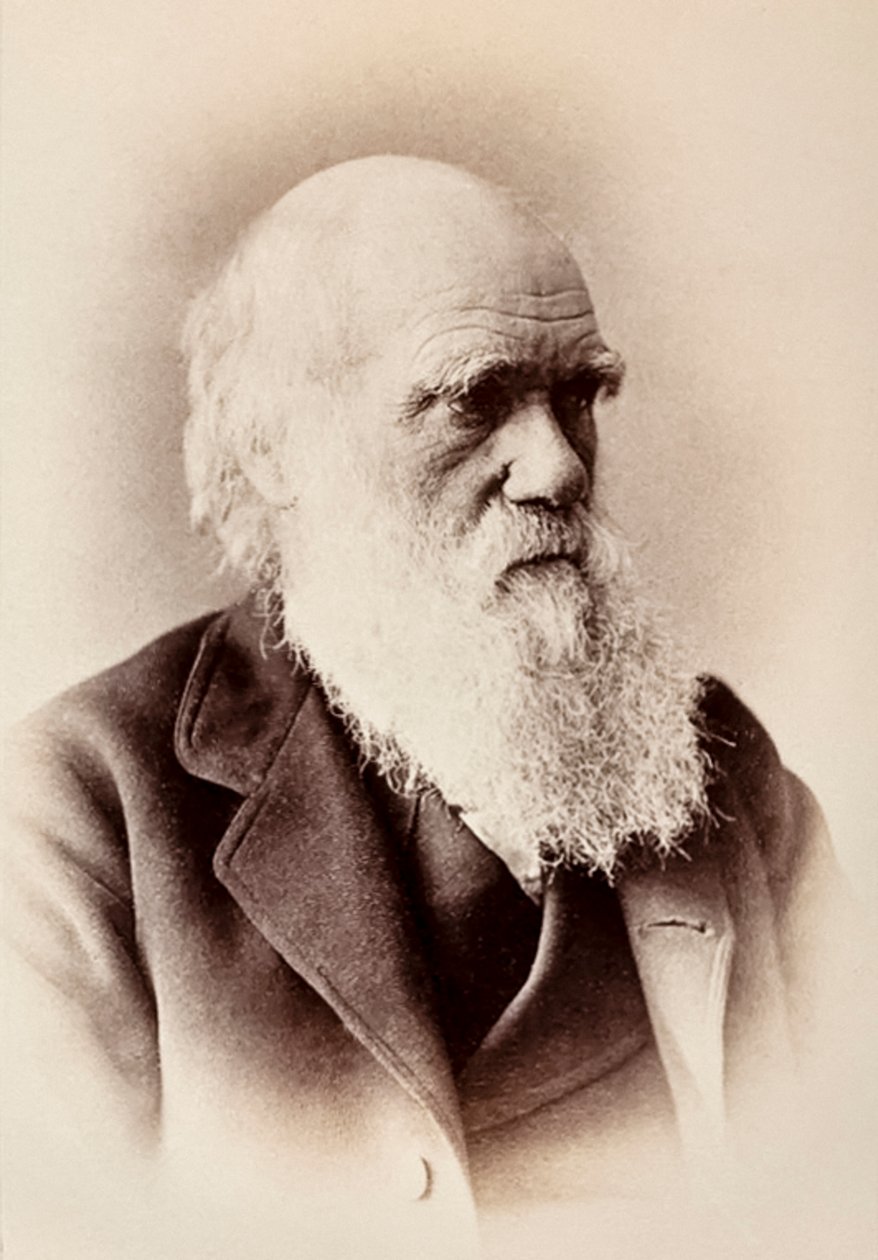 Charles Darwin: naturalista inglese da Elliott und Fry Studio