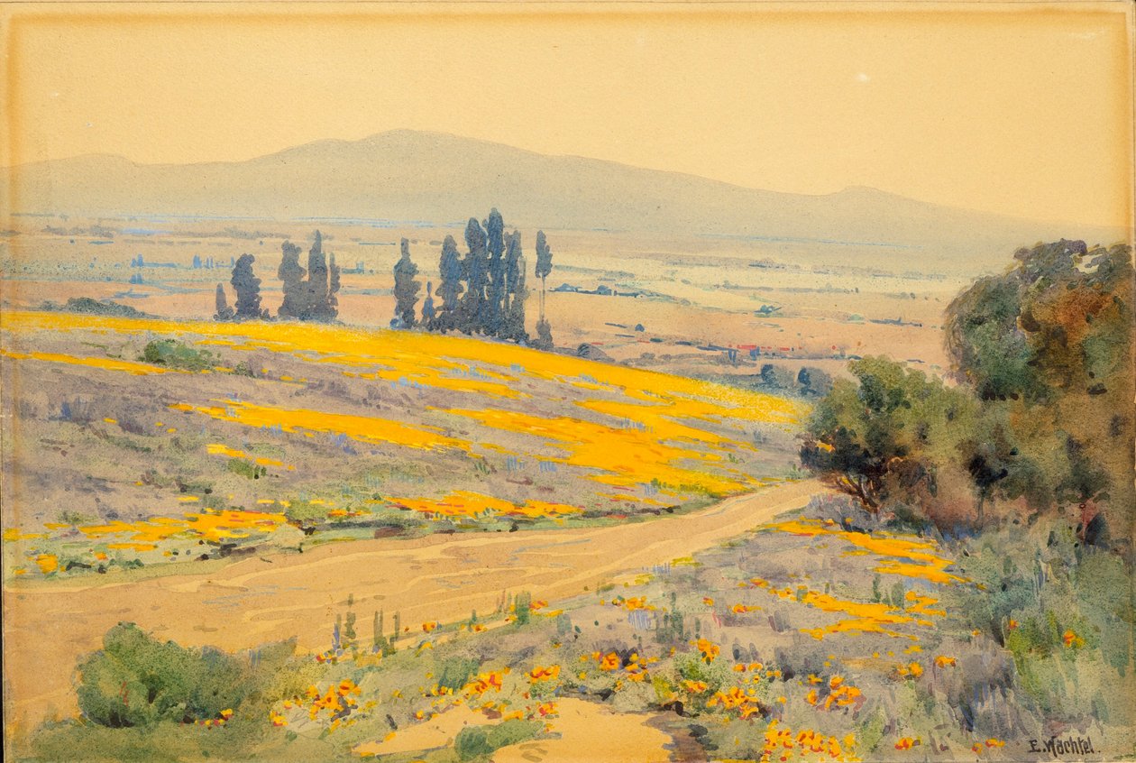 Paesaggio di primavera in California da Elmer Wachtel