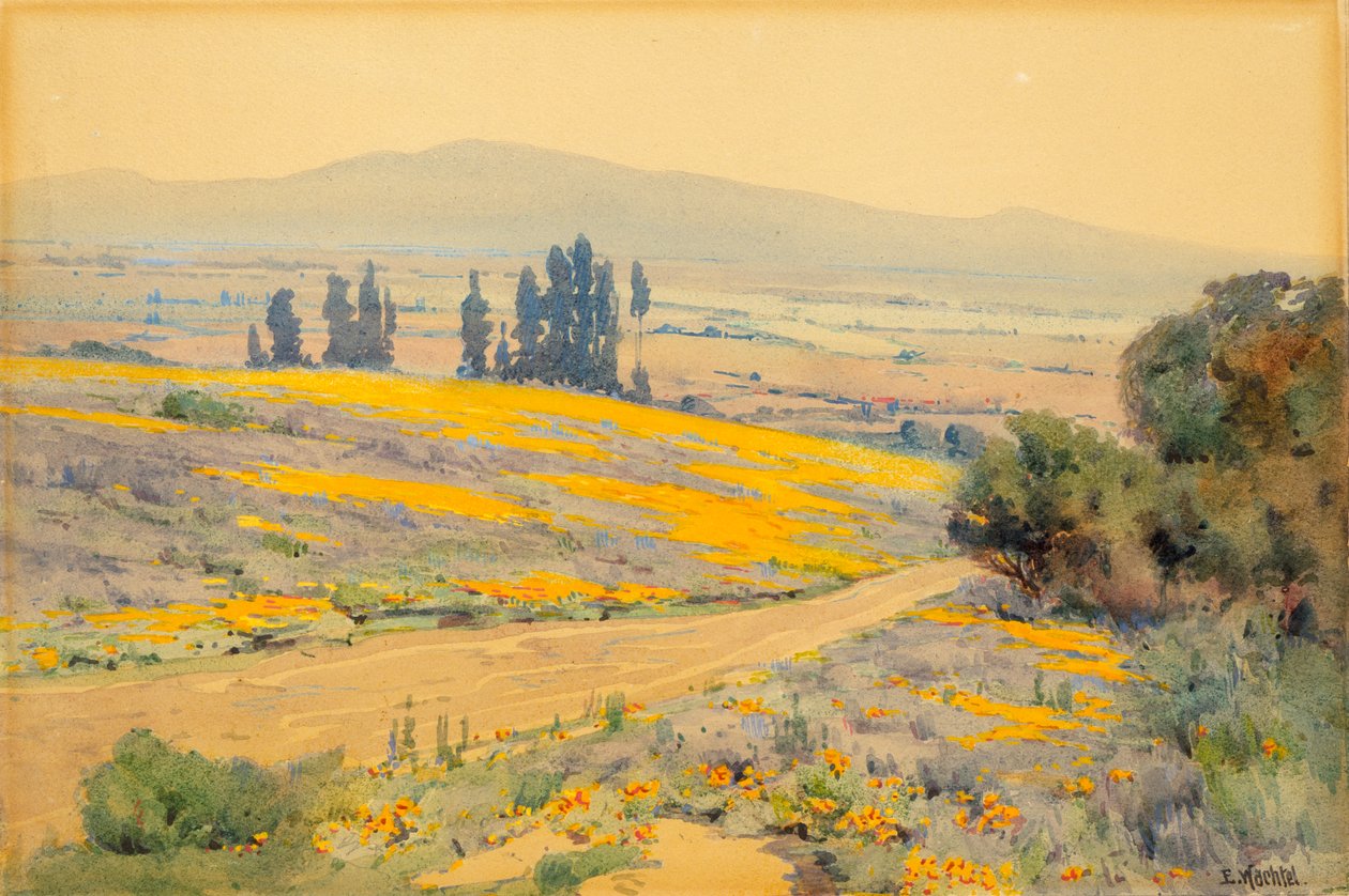 Paesaggio primaverile della California da Elmer Wachtel