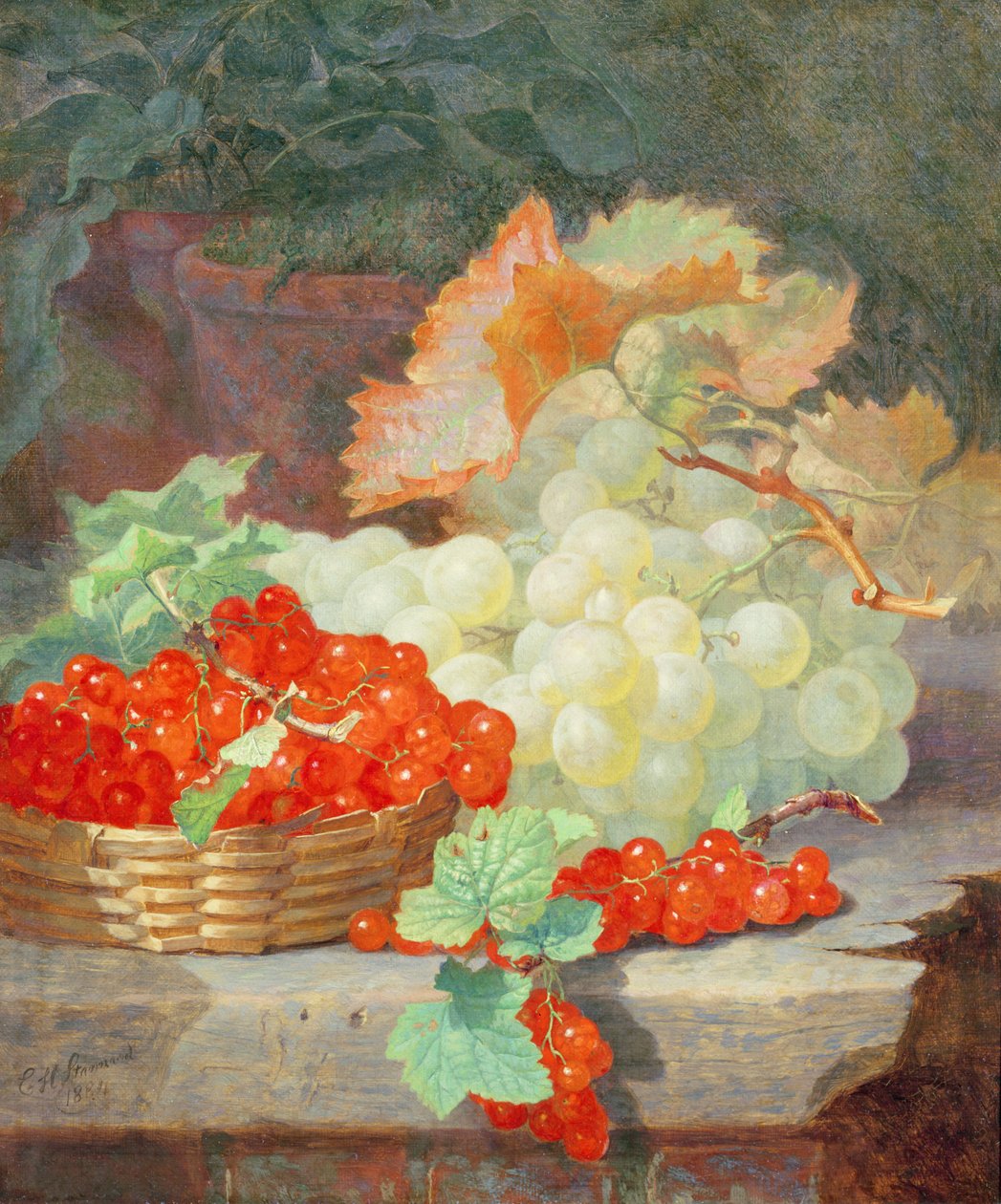 Ribes rossi e uva, 1864 da Eloise Harriet Stannard