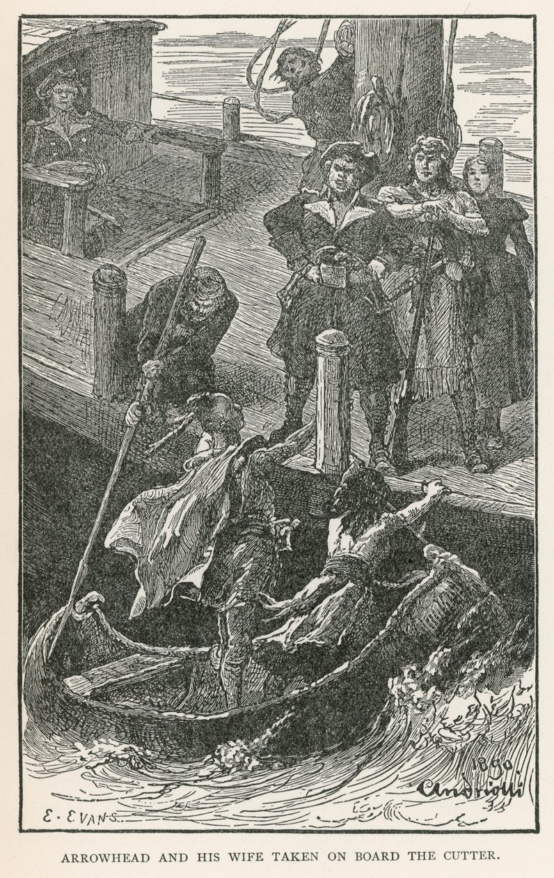  da Elviro Michael Andriolli