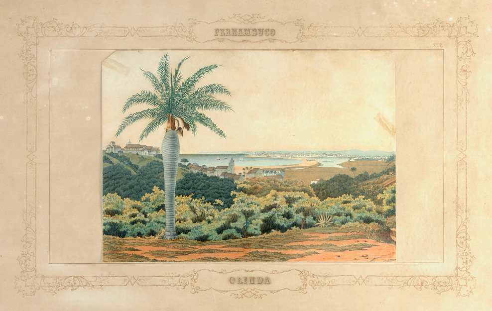 Olinda da Emil Bauch
