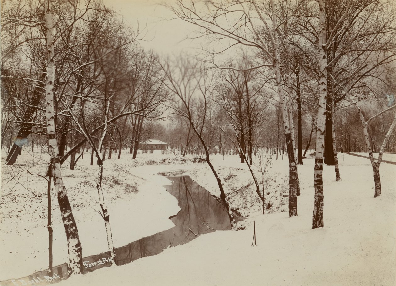 Scena invernale nel Forest Park con ruscello che taglia la neve da Emil Boehl