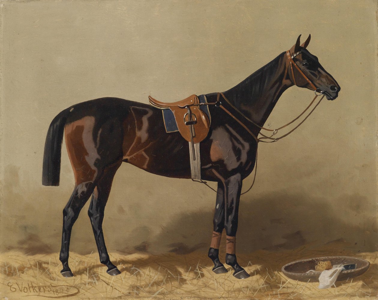 Cavallo sportivo sellato da Emil Volkers