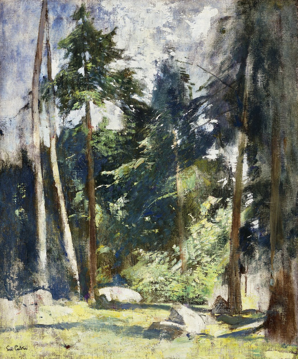 Pini alti da Emil Carlsen