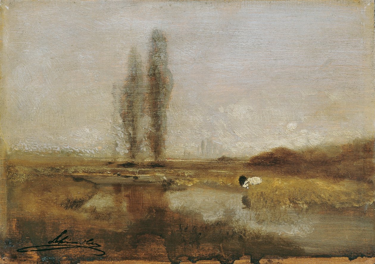 Brughiera presso Lundenburg da Emil Jakob Schindler