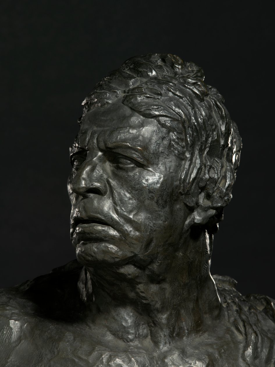 Busto di Ingres (bronzo) (dettaglio) da Emile Antoine Bourdelle