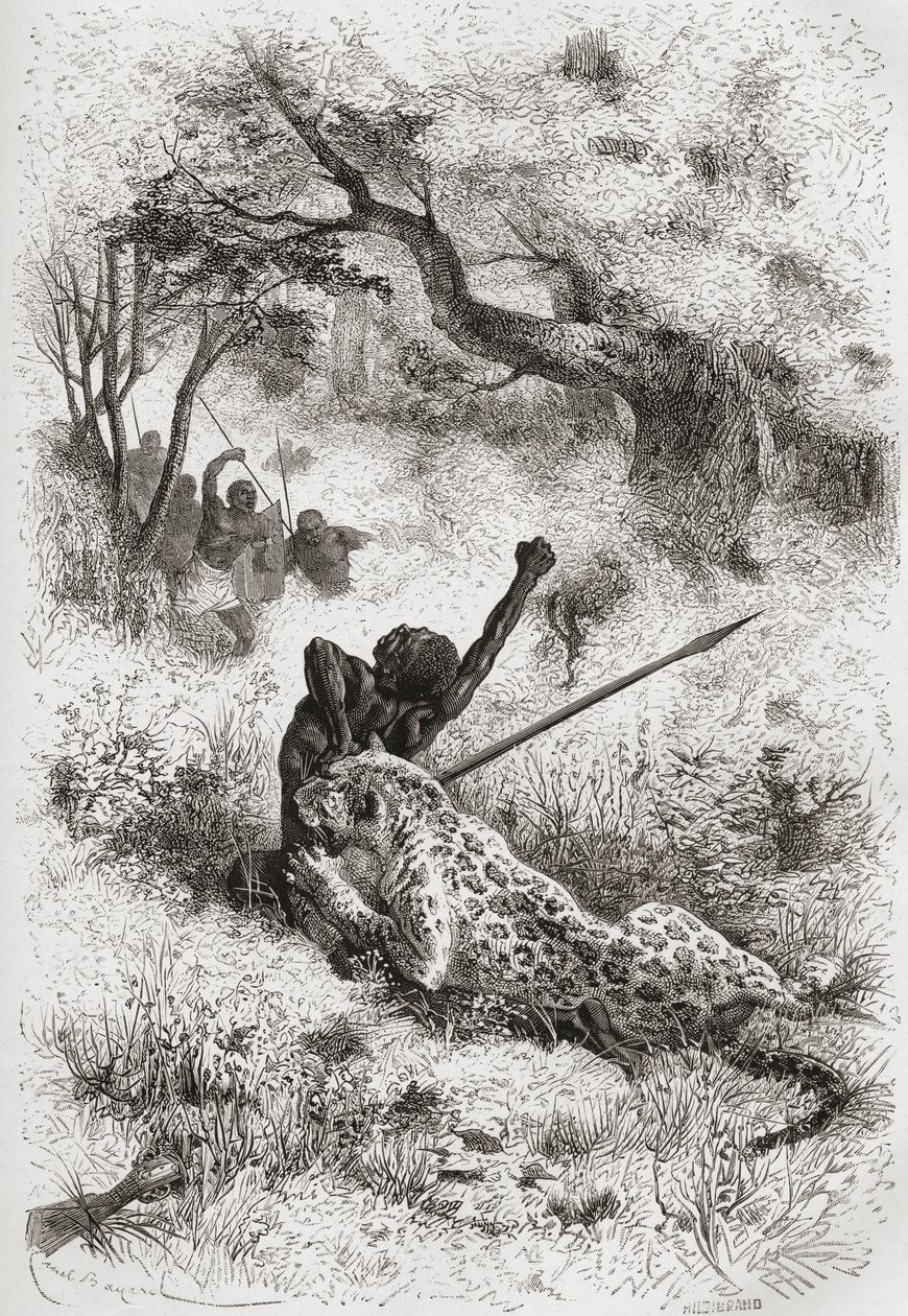 Un leopardo che attacca un africano, illustrazione da 