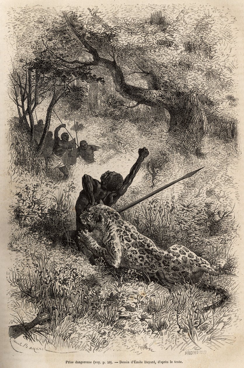 Un leopardo salta su un uomo e lo morde crudelmente sulla schiena, nei pressi di Bambare (Congo), incisione dopo un disegno di Emile Bayard, illustrando l