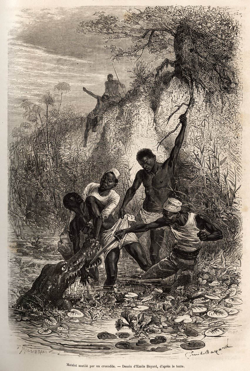 Un marinaio della spedizione, attaccato da un coccodrillo, incisione di Emile Bayard per illustrare una spedizione in Africa Centrale da Emile Antoine Bayard