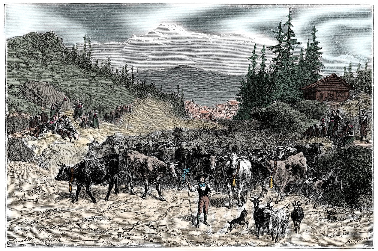 Alpi: il jodel o partenza delle mandrie (mucche, capre) verso i pascoli. Illustrazione di Emile Bayard per il libro 