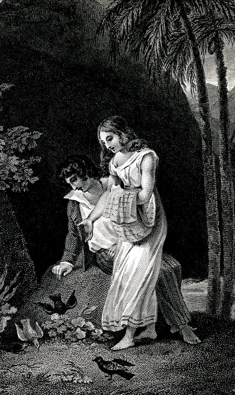 Incisione che illustra un