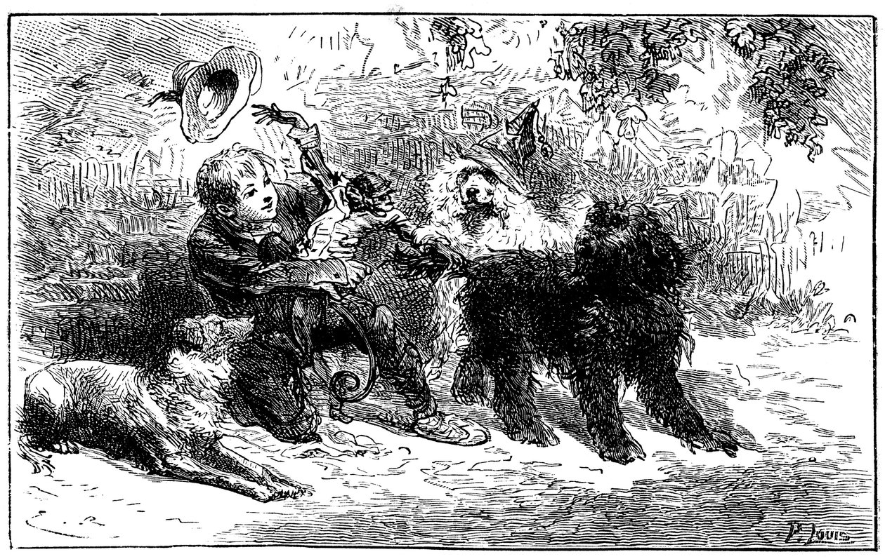 Illustrazione di Emile Bayard per il romanzo di Hector Malot "Sans Famille": Remi gioca con i suoi amici, gli animali sapienti della troupe di Monsieur Vitalis, artista itinerante - Joli-Coeur (cuore carino), la scimmia e i tre cani Capi, Zerbino e Dol da Emile Antoine Bayard