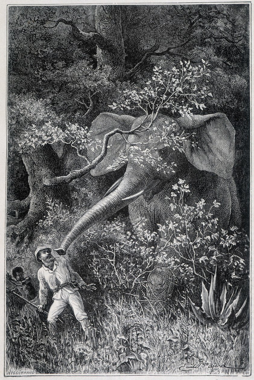 Livingstone sorpreso da un elefante, in "Le Tour du Monde" da Emile Antoine Bayard