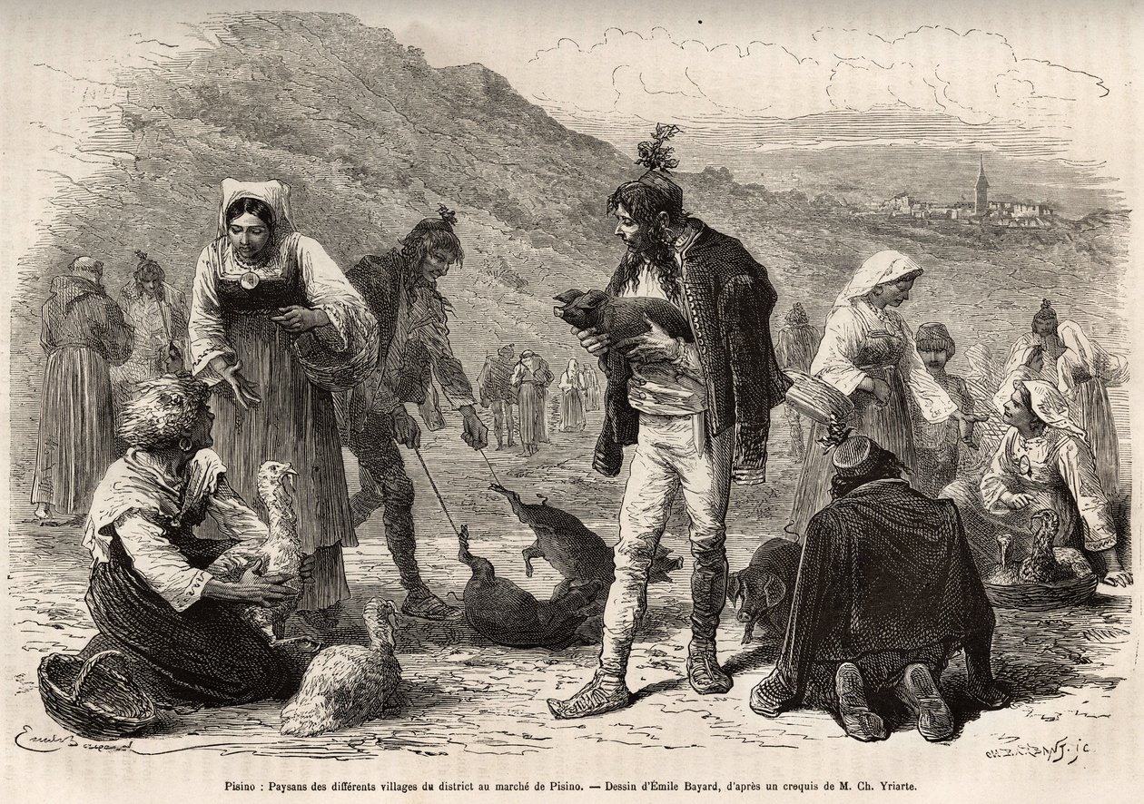 I contadini nei dintorni di Pisino (Croazia), si riuniscono per la vendita dei loro prodotti agricoli al mercato: pollame, maialini..., incisione da un disegno di Emile Bayard illustrante il viaggio in Istria e Dalmazia, nel 1874, di Charles Yriarte, pubbl da Emile Antoine Bayard
