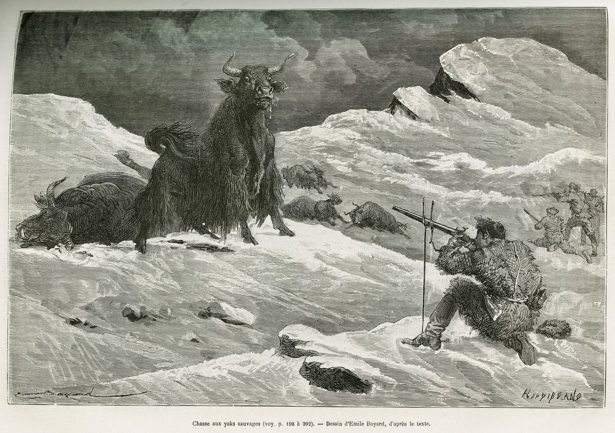 Scena di caccia allo yak selvatico, disegno di Emile Bayard per illustrare il viaggio in Mongolia e nella terra dei Tanguti dal 1870 al 1873, del tenente colonnello Prjewalski. Incisione in Le tour du monde da Emile Antoine Bayard