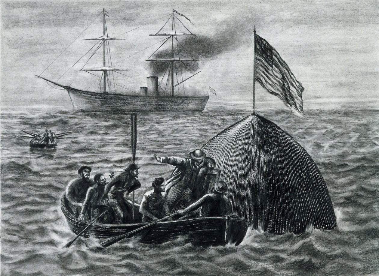 illustrazione per il romanzo 