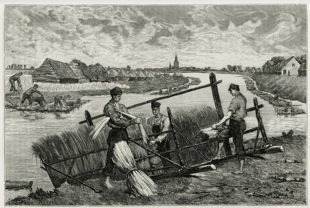 La ruggine del lino (macerazione per facilitare la separazione della corteccia dallo stelo) nella Lys (fiume nord della Francia e Belgio). Incisione di Emile Claus, per illustrare la storia “La Belgique”, di Camille Lemonnier, scrittore e critico d