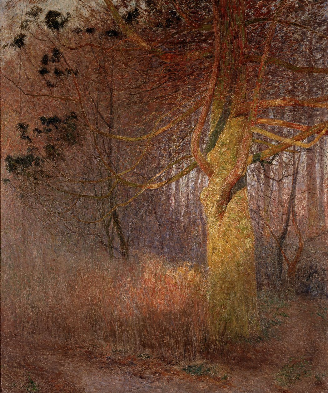 Albero soleggiato da Emile Claus