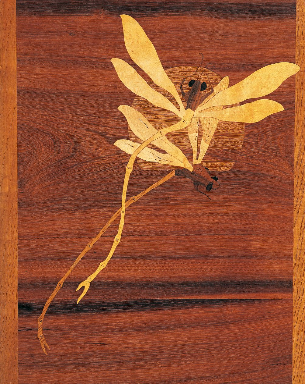 Libellule, dettaglio di mobile in stile Art Nouveau da Emile Galle
