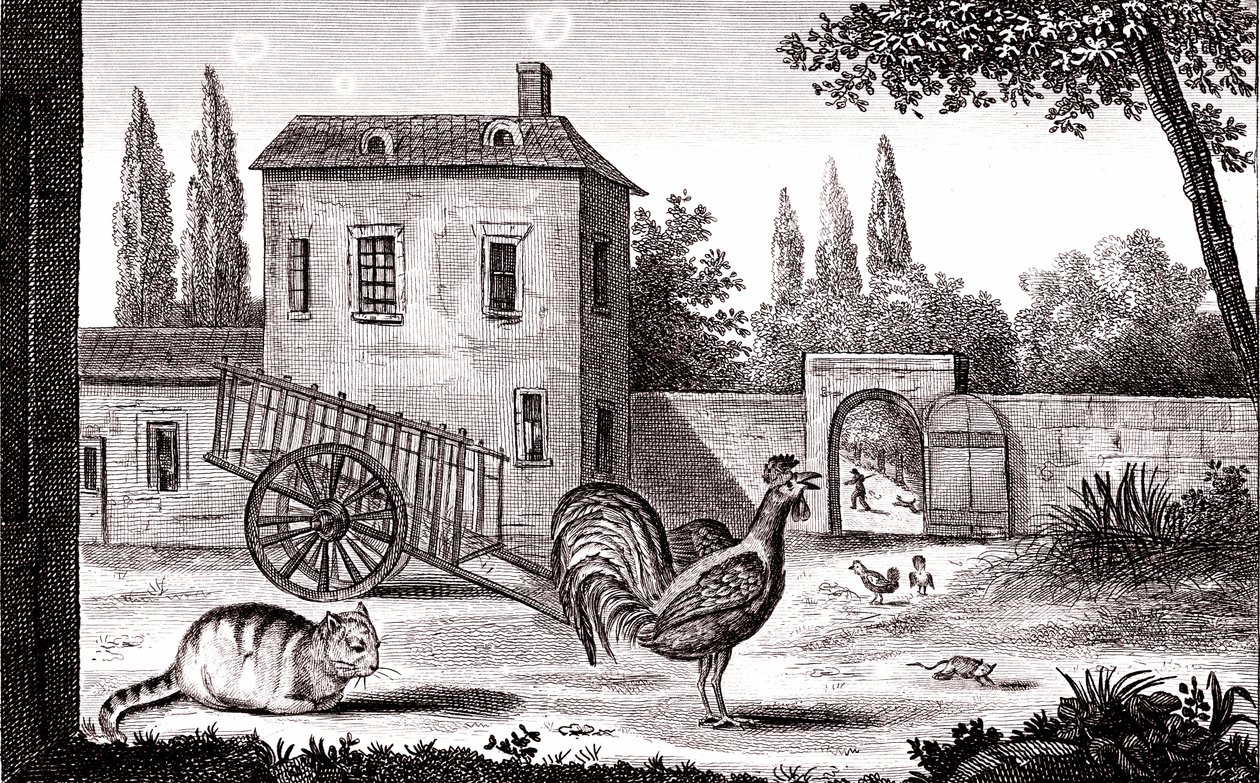 Il gallo, il gatto e il topo, favola di La Fontaine da Emile Joseph Alexandre Gouget