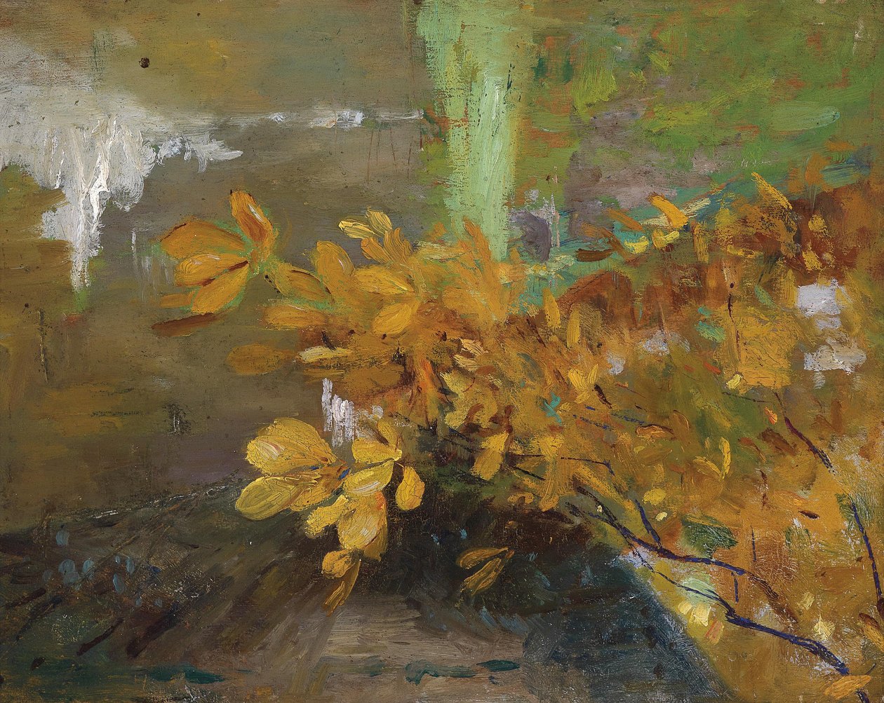 P1476,de da Emilie Mediz Pelikan