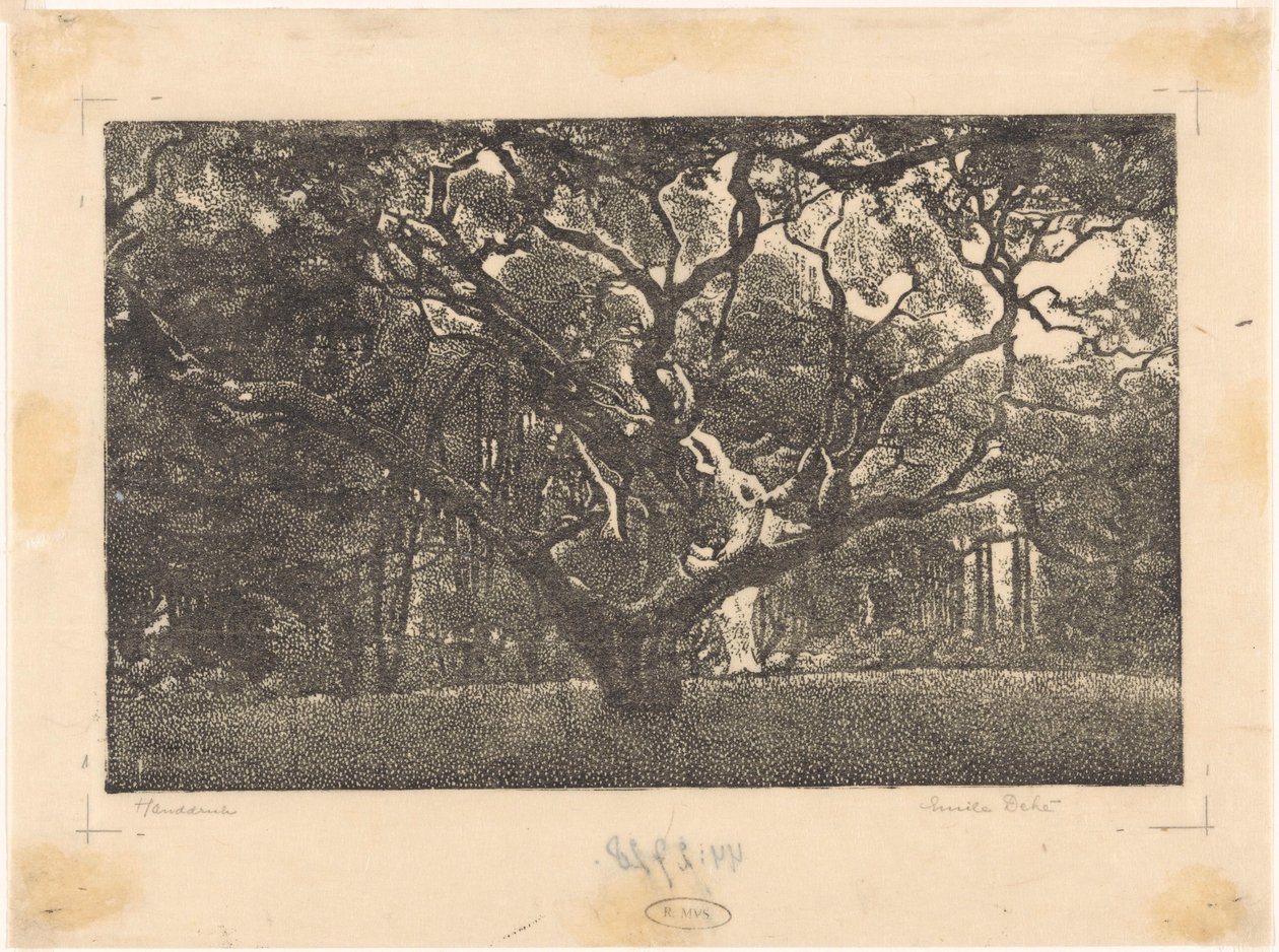 Bosco a Bergen da Emilius Wilhelmus Dehé (signed by artist)