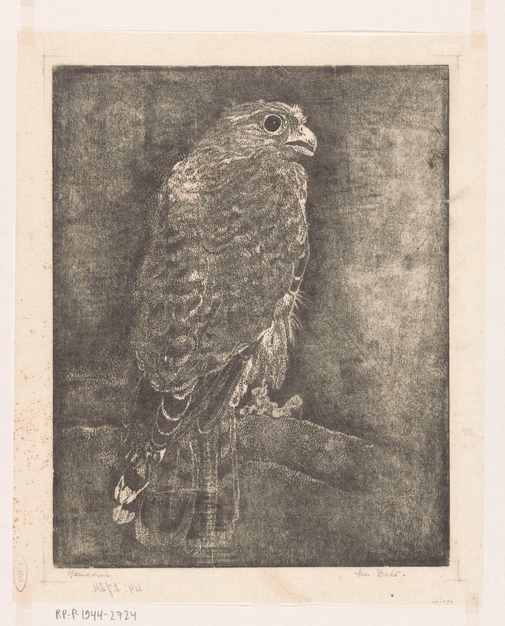 Falco su un ramo da Emilius Wilhelmus Dehé (signed by artist)