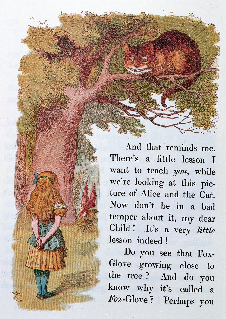 Alice e il Gatto del Cheshire, illustrazione da 