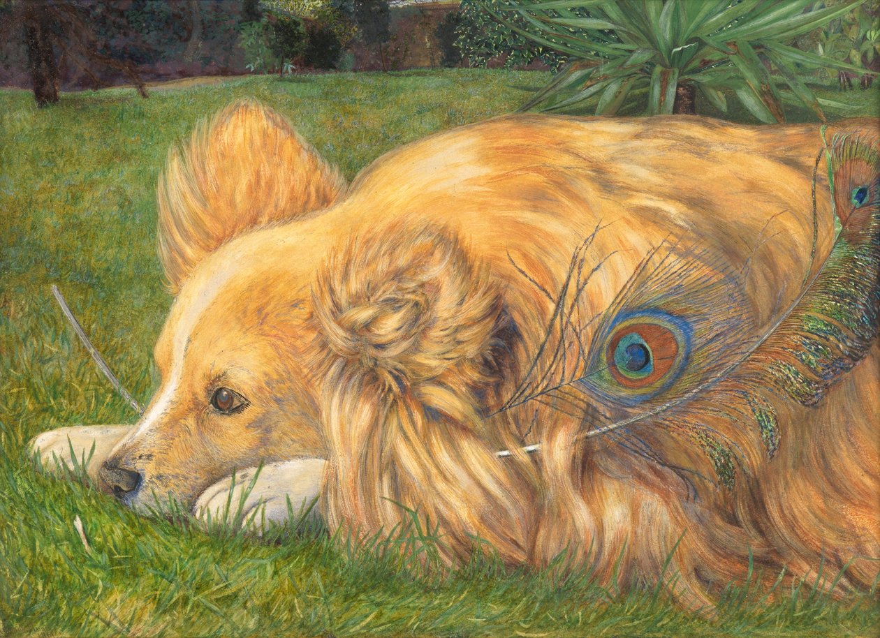 Gelosa Jessie, 1861 da Emily and Hunt, William Holman Hunt