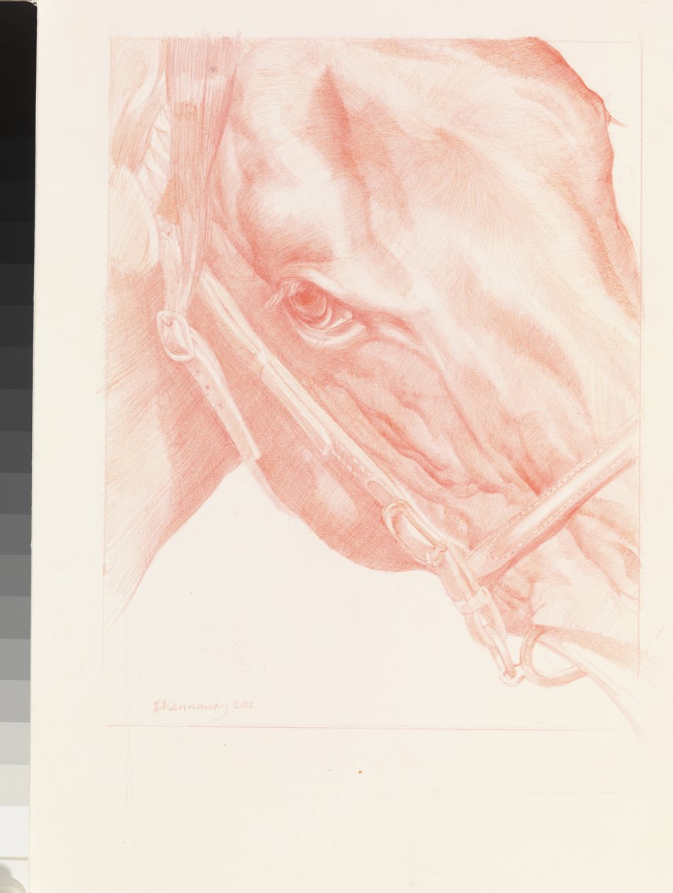 Testa di ritratto, 2012 da Emma Kennaway