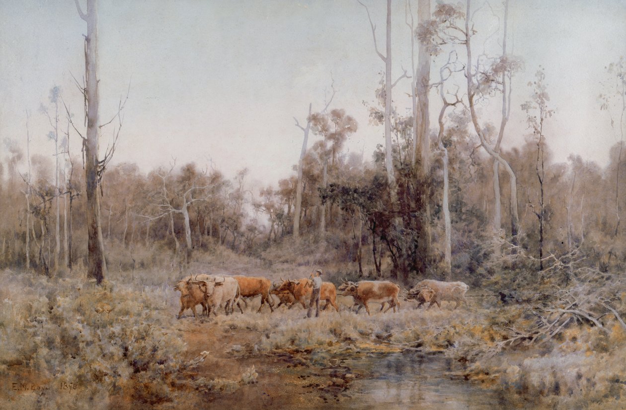 Il Team di Buoi da Emma Minnie Boyd