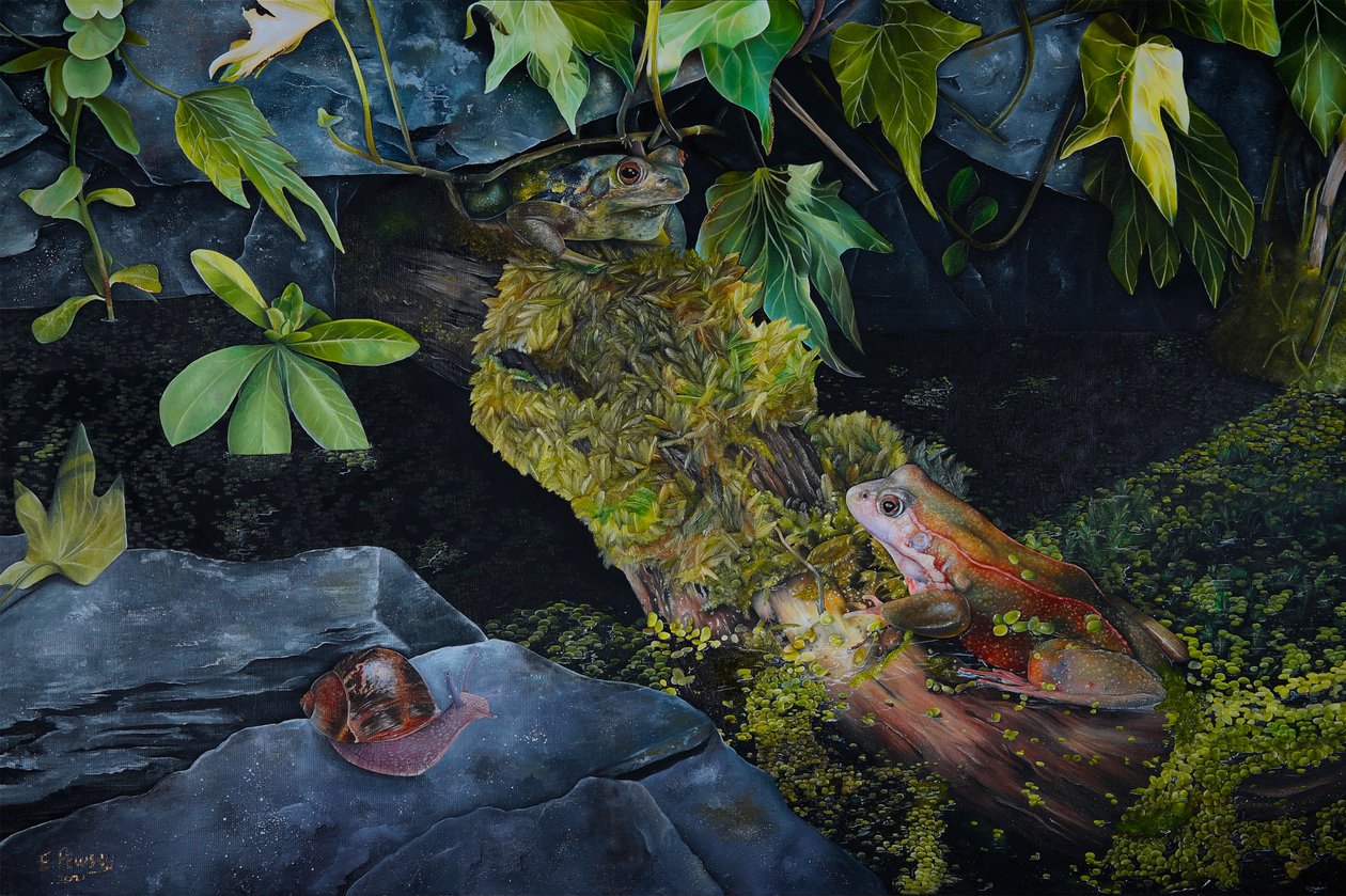 Vita da stagno, 2021 (olio su tela) da Emma Pewsey