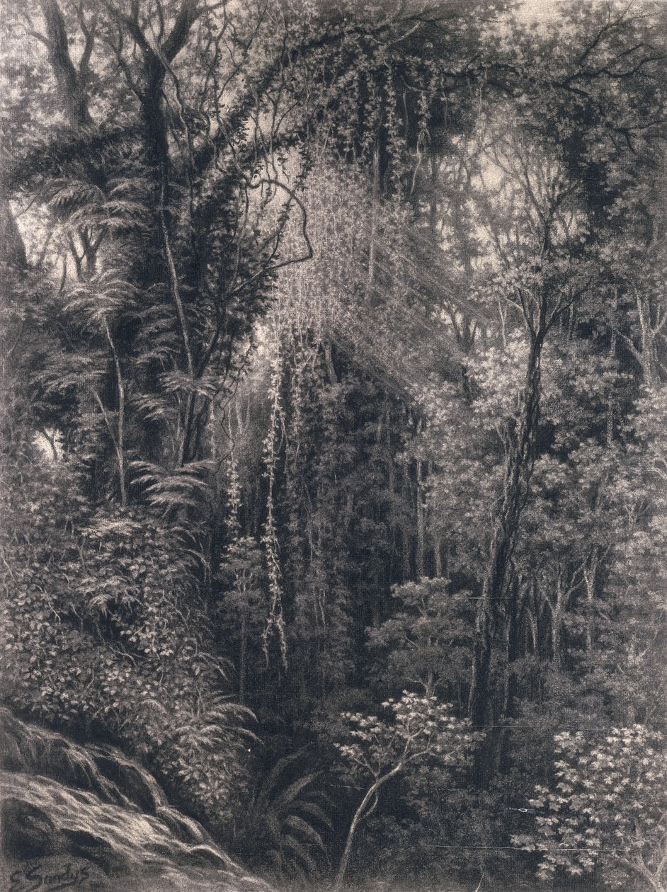 Veduta della gola sopra Apia, Upolu, Samoa occidentale, 1877 da Emma Sandys