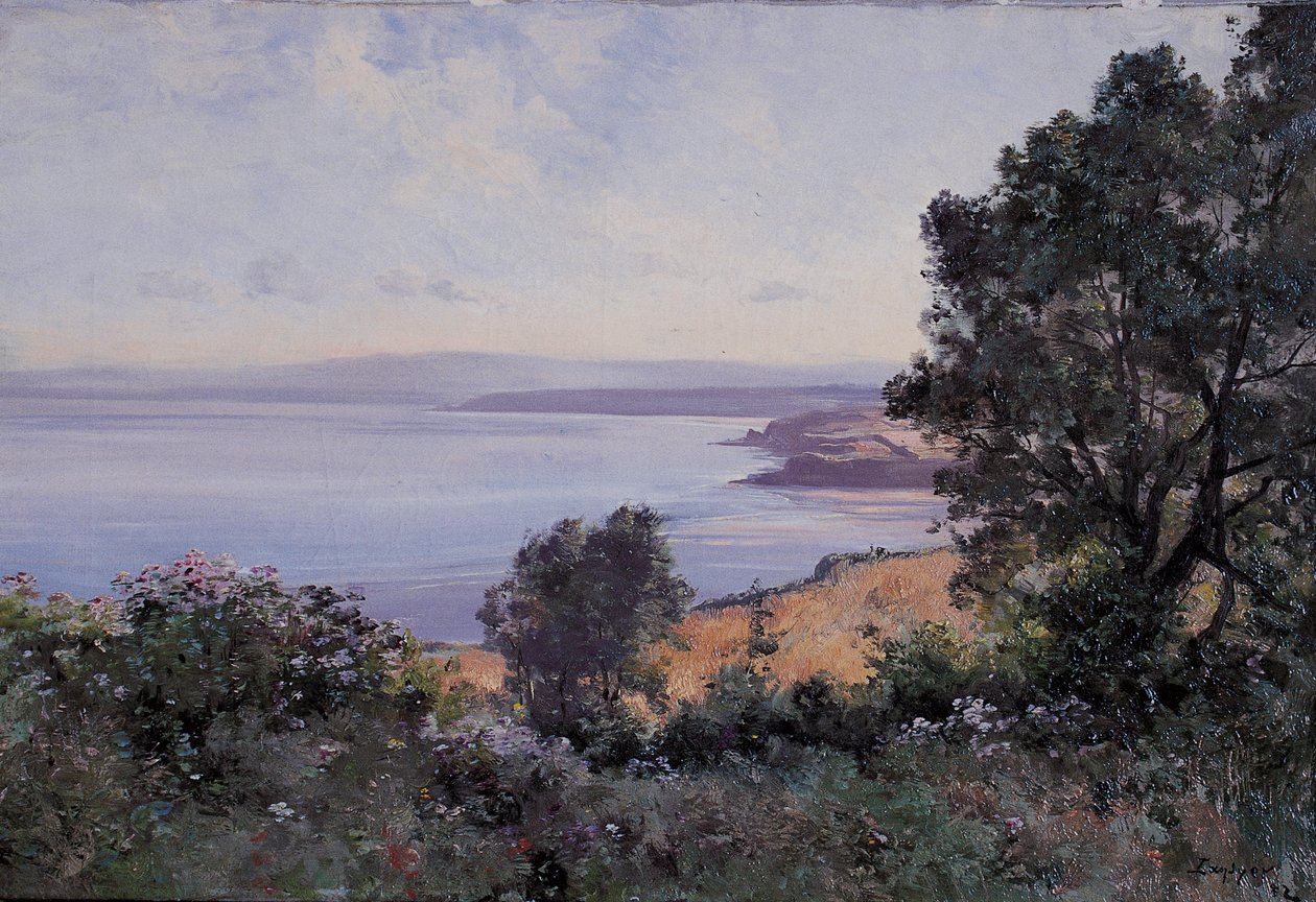 Douarnenez grano e alberi in vista da Emmanuel Lansyer