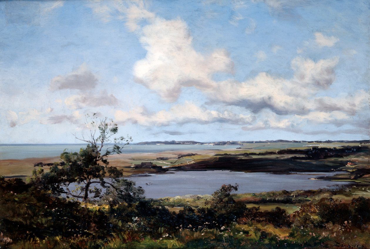 Lo stagno della bolla, 1879 da Emmanuel Lansyer