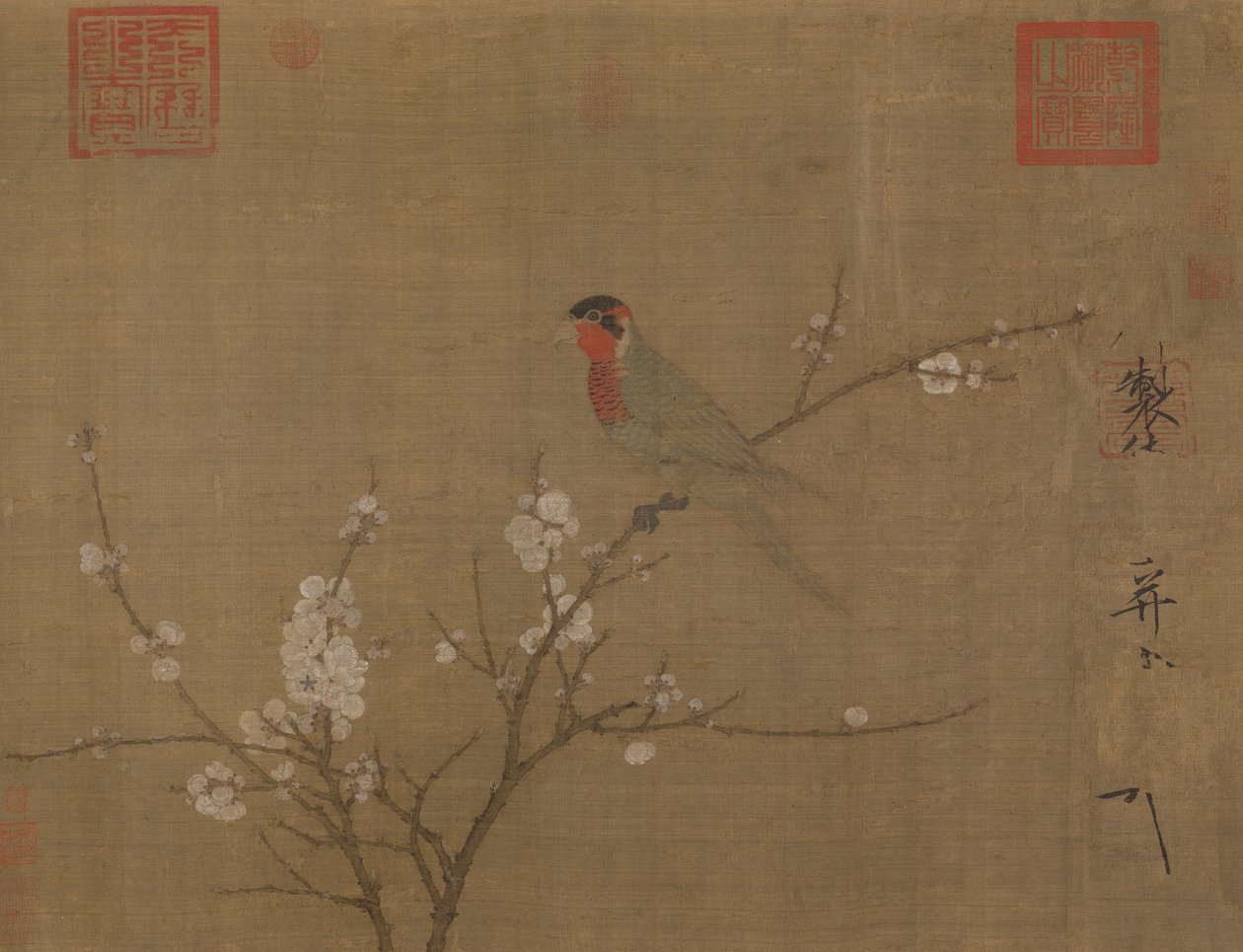 Pappagallo a cinque colori su un albero di albicocco in fiore da Emperor Huizong